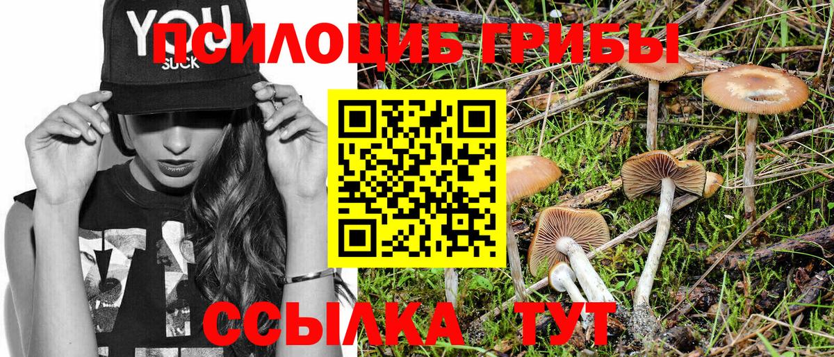 Каспийск  закладки  Вход с VPN  Галлюциногенные грибы Cubensis 